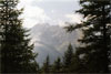 Vista di montagna tra gli alberi